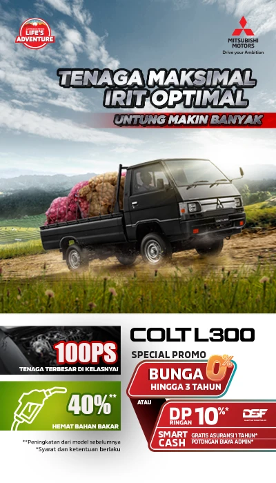 Mitsubishi L300 Medan